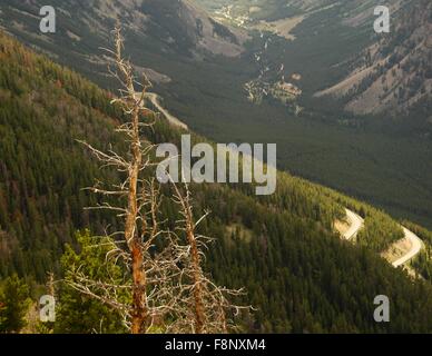 On Top of the World (Beartooth) Highway, Montana/Wyoming, USA. Stock Photo