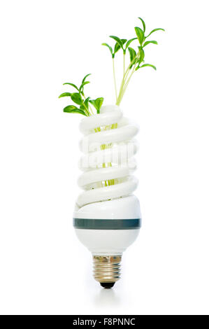 Energy saving lamp with green seedling on white Stock Photo - Alamy