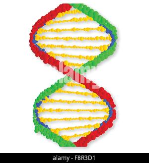 Cartoon depiction of the twin DNA ribbons with connecting strands Stock ...