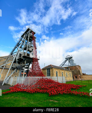 Weeping Window poppy sculpture Stock Photo