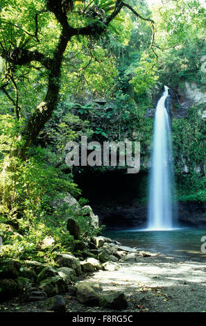 Fiji Islands, Taveuni, Tavoro Waterfalls, Bouma National Heritage Park Stock Photo