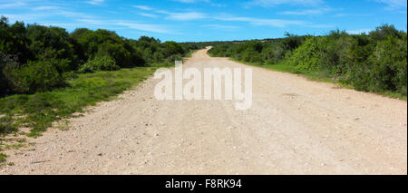 Empty dirt road, Aberdeen Plain, Eastern Cape, South Africa Stock Photo