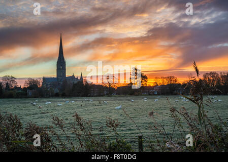Winter sunrise landscape Salisbury cathedral city in England Stock Photo