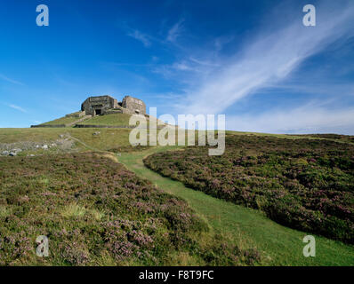 Offa's Dyke Path and the Jubilee Monument (1810), a famous landmark on the summit of Moel Famau in the Clwydian Range, Denbighshire. Stock Photo