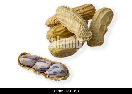 Group of boiled peanuts studio shot isolated on white background. Stock Photo