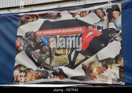 London, UK, 11 December 2015, AFC Wimbledon has been given permission to build a new stadium close to its spiritual home in Plough Lane. The League Two club applied to build an 11,000-seater stadium - that could be expanded to hold 20,000 - on the site of Wimbledon greyhound stadium. Credit:  JOHNNY ARMSTEAD/Alamy Live News Stock Photo