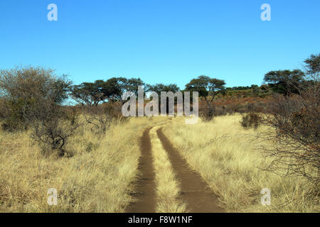 Mahangu National Park. Caprivi Strip, Namibia Stock Photo