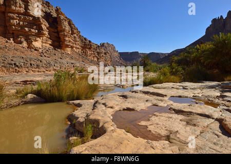 Water in Iherir Canyon, Tassili n'Ajjer National Park, UNESCO World Heritage Site, Sahara desert, North Africa, Algeria Stock Photo