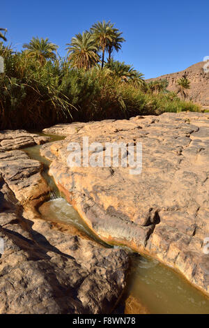 Date palm and water in Iherir Canyon, Tassili n'Ajjer National Park, UNESCO World Heritage Site, Sahara desert, North Africa Stock Photo