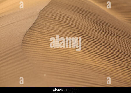 Wind erosion patterns on a dune in Sossusvlei, Namib-Naukluft Park, Namibia Stock Photo