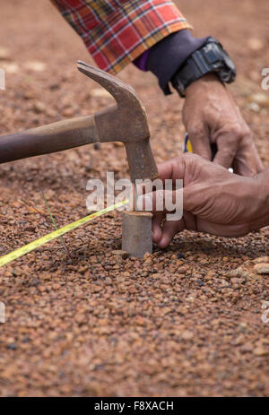 Construction Worker working with measuring tape, hammer and nail Stock Photo