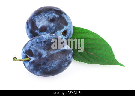 Plum Fruits Green Leaf Stock Photo