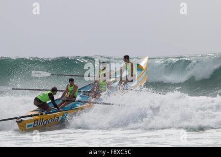 Sydney, Australia. 12th December, 2015. Ocean Thunder Annual Surfboat Series of Professional surfboat racing from Dee Why Beach which involves 24 elite mens teams and 12 elite womens teams from around Australia. Credit:  model10/Alamy Live News Stock Photo