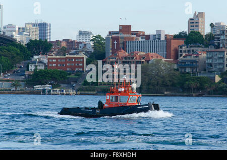 A small tug boat on Sydney Harbour, New South Wales, Australia Stock Photo