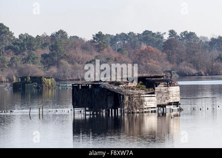In Autumn amidst a dozen of others, a duck hunting hut on the White Pond, at Seignosse (Landes - Aquitaine - France). Stock Photo