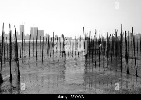 View of Manama, taken from behind fishing nets at Bu Maher Fort, Muharraq,  Kingdom of Bahrain Stock Photo