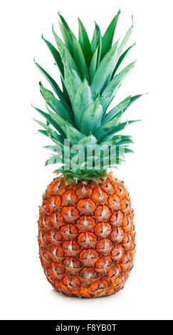 Ripe whole tasty pineapple close-up isolated on a white background. Stock Photo