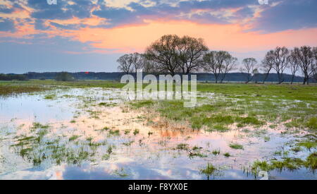 Sunset lundscape at Biebrza National Park, Podlasie region, Poland Stock Photo