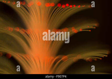 Colorful abstract image of fiber optic lights Stock Photo