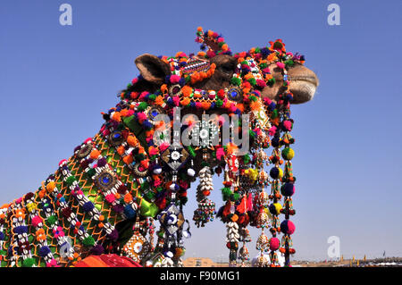 Beautifully Decorated Camel for best decorated camel competition during Jaisalmer Desert Festival at Jaisalmer Rajasthan, India. Stock Photo