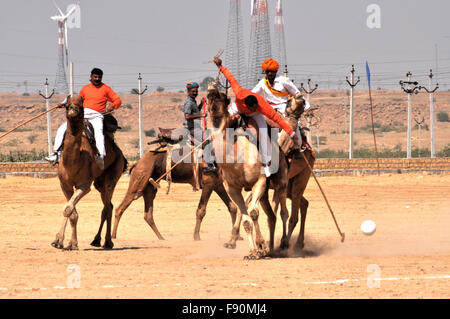 The Camel Polo Match between two local teams is the main attraction of Jaisalmer Desert Festival at Jaisalmer, Rajasthan, India. Stock Photo