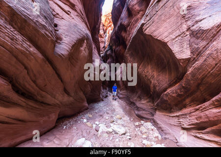 Desert slot canyon hiker in Buckskin Gorge, Utah. Stock Photo