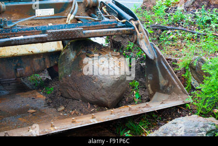 bobcat moving rocks in the garden Stock Photo