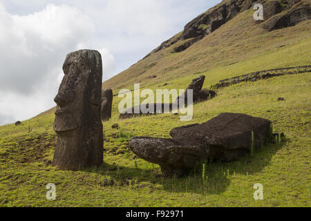 Photograph of the moais at Rano Raraku stone quarry on Easter Island in Chile. Stock Photo