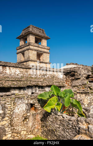 Observation Tower at El Palacio, Maya ruins at Palenque archaeological site, Chiapas, Mexico Stock Photo