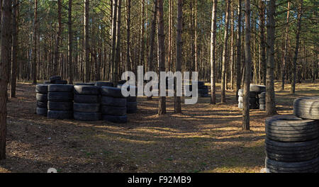 Lasertag game polygon in pine forest with barricade from tires. Stock Photo