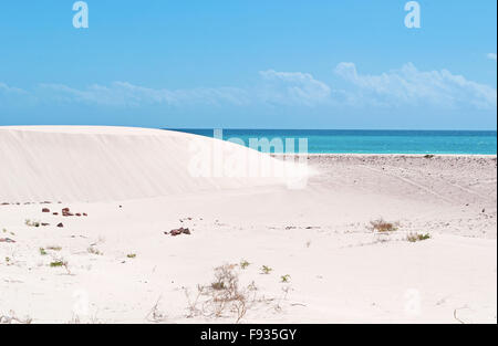 Socotra, Yemen, Middle East: the breathtaking  sand dunes of the protected area of Aomak beach, Gulf of Aden, Arabian Sea Stock Photo
