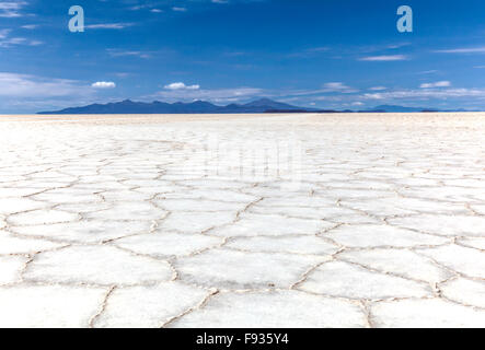 Salar de Uyuni. Salt flats. Bolivia Stock Photo