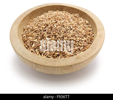 spelt, farro, primitive wheat isolated on white background Stock Photo