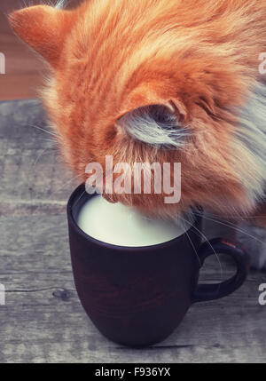 beautiful fluffy ginger cat drinking milk from a clay cup which stands on a old wooden table Stock Photo