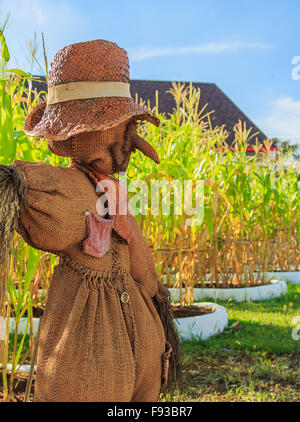 Scarecrow in corn farm in  the south of thailand Stock Photo