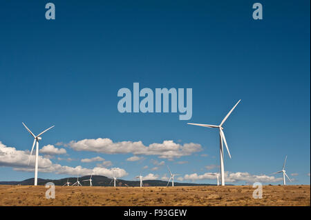 Wind machines, turbine farm in Eastern Washington Stock Photo