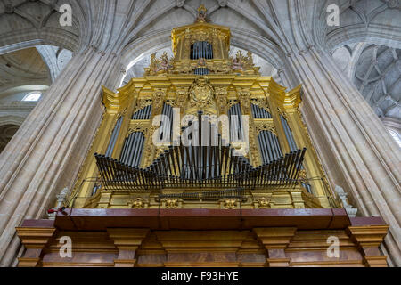 Gothic Cathedral of Segovia, monumental pipe organ Stock Photo