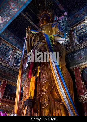 Buddha Statue in Lama temple Yonghe Gong, Beijing, China, Asia Stock Photo