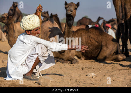 Rajasthani wearing traditional dress at the Pushkar Mela camel fair, Pushkar, Rajasthan, India Stock Photo