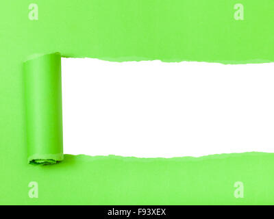 green rolled-up torn paper on white isolated background Stock Photo