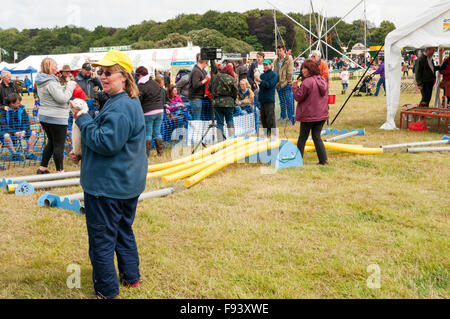 A woman with a white ferret ready for racing at Holkham Country Fair. Stock Photo