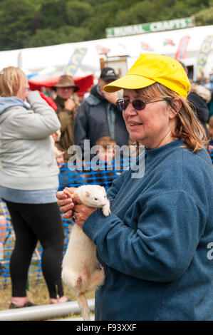 A woman with a white ferret at Holkham Country Fair. Stock Photo