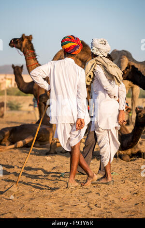 Two men watching camels at the Pushkar Mela camel fair, Pushkar, Rajasthan, India Stock Photo