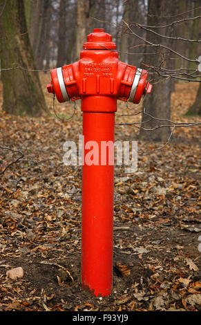 Close-up red fire hydrant in a park of Warsaw, Poland Stock Photo