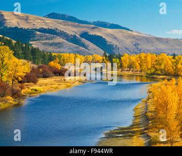 fall colors along the bitterroot river near missoula, montana Stock Photo