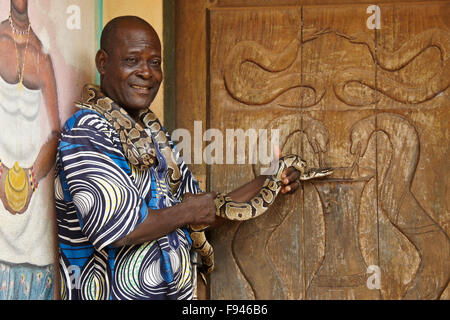 Vodun (voodoo) priest with Royal Sheba pythons, Python Temple, Ouidah, Benin Stock Photo