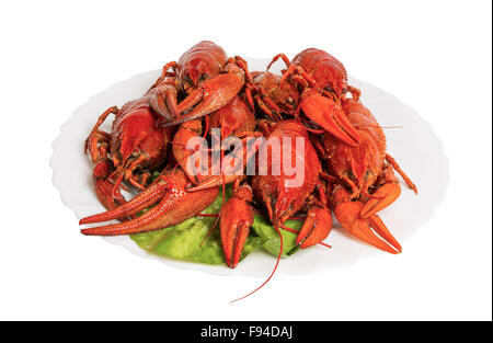 Boiled crayfishes on the plate, isolated on white background Stock Photo