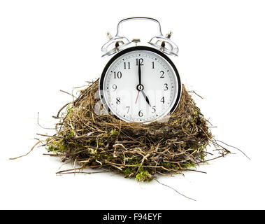 Real empty bird nest with clock on white background Stock Photo