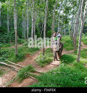 Elephant trekking in the forest near Ao Nang town. Krabi Province, Thailand. Stock Photo
