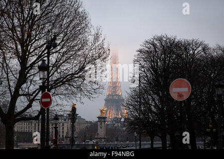 Paris, France. 13th Dec, 2015. The illuminated Eiffel Tower can be seen between trees on the Place de la Concorde in Paris, France, 13 December 2015. Photo: CHRISTIAN CHARISIUS/dpa/Alamy Live News Stock Photo